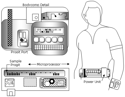 BodyComp